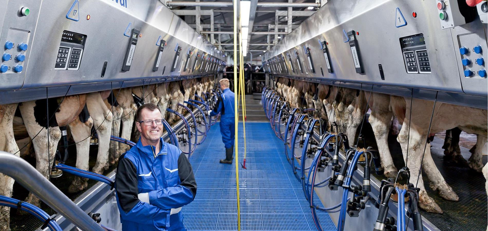 delaval-1571-bewerkt-02